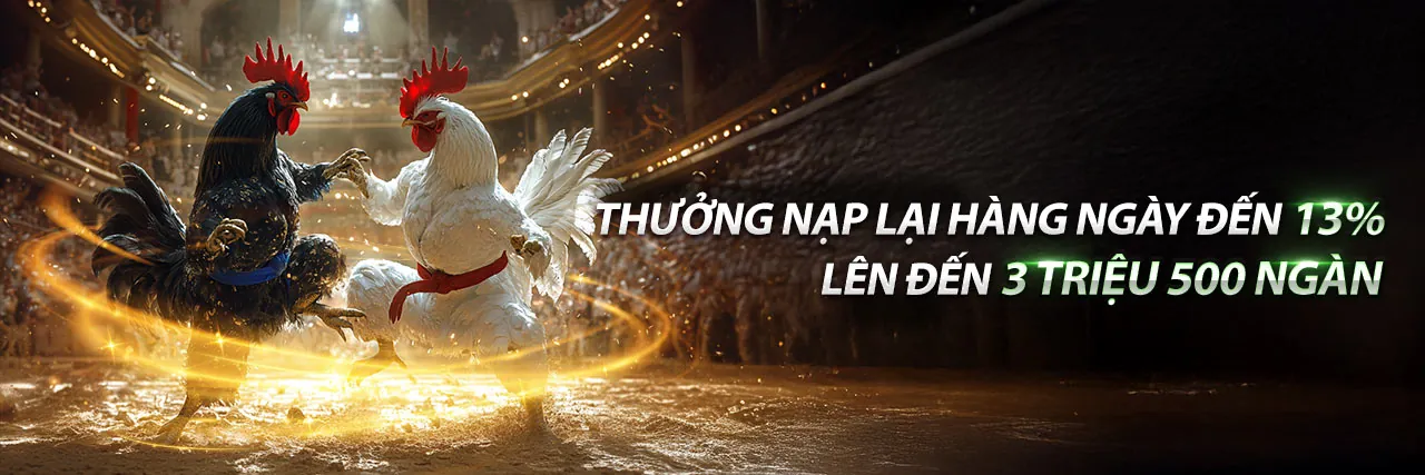 Sân đấu đá gà trực tuyến 188loto